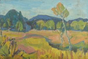 Werkverzeichnis Nr. 147, um 1955, Mooslandschaft mit Bergen, Öl auf Karton, 40,0 x 60,1 cm
