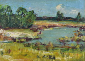 Werkverzeichnis Nr. 619, um 1972, Mooslandschaft mit  Teich und Bäumen, Öl auf Karton, 30,3 x 42,8 cm