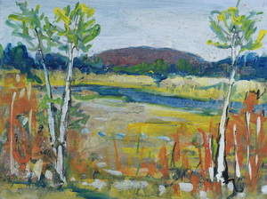 Werkverzeichnis Nr. 623, um 1972, Mooslandschaft mit Birken und Bach, Öl auf Karton, 37,3 x 48,7 cm