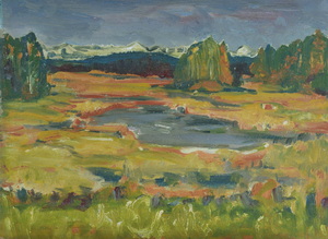 Werkverzeichnis Nr. 665, um 1972, Weiher in den Voralpen, Öl auf Karton, 38,3 x 52,3 cm