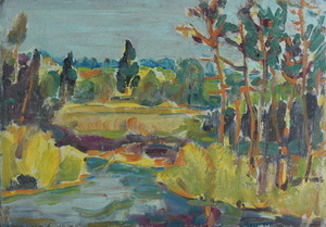 Werkverzeichnis Nr. 712, um 1973, Mooslandschaft mit Gewässer, Öl auf Karton, 40,8 x 48,8 cm