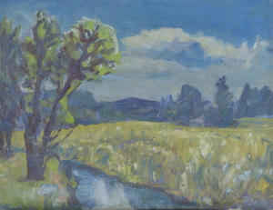 Werkverzeichnis Nr. 868, um 1975, Mooslandschaft mit Wassergraben, Öl auf Karton, 37,5 x 48,4 cm