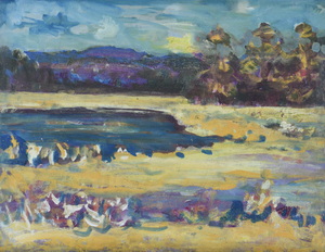 Werkverzeichnis Nr. 1090, um 1978, Mooslandschaft mit Wasserflächen, Öl auf Karton, 38,0 x 48,2 cm