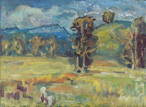 Werkverzeichnis Nr. 1314, um 1983,  Mooslandschaft mit Bäumen, Öl auf Karton, 44,2 x 59,2 cm