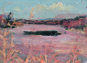 Werkverzeichnis Nr. 1457, um 1988, Kleiner Moorsee, Acryl auf Karton, 38,7 x 53,2 cm