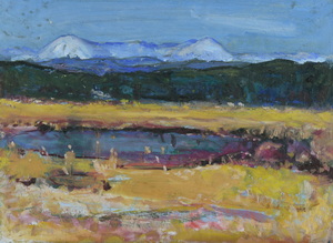 Werkverzeichnis Nr. 1478, um 1989, Verlandender See mit Blick auf den Herzogstand und Heimgarten, Acryl/Öl auf Karton, 38,2 x 52,6 cm