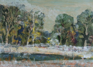 Werkverzeichnis Nr. 1676, 1994, Gewässer mit Bäumen, Acryl, Öl auf Karton, 38,2 x 53,0 cm
