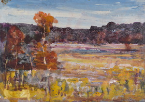Werkverzeichnis Nr. 1672, um 1994, Mooslandschaft mit Bäumen, Öl auf Karton, 56,8 x 79,8 cm