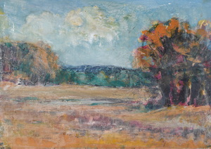 Werkverzeichnis Nr. 1679, um 1994,  Mooslandschaft mit weiter Wiese und einem kleinen Gewässer, Öl auf Karton, 57,0 x 80,1 cm